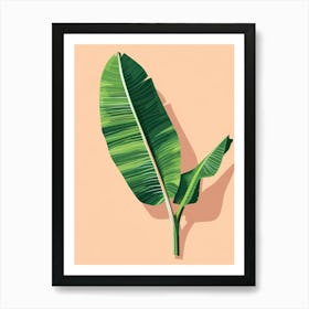 Banana Leaf Vector Illustration Art Print