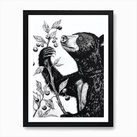 Malayan Sun Bear Standing And Reaching For Berries Ink Illustration 4 Art Print