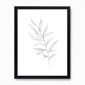 Drawing A Palm Leaf Art Print