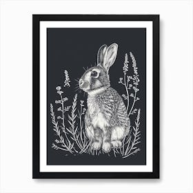 Californian Rabbit Minimalist Illustration 4 Art Print