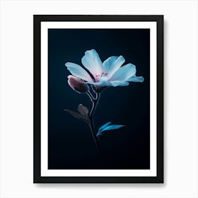 Flower On A Dark Background Art Print