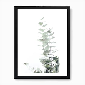 Eucalyptus White II in Art Print