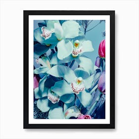 Blue Orchids Art Print