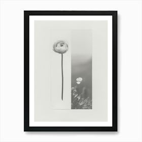 Ranunculus Flower Photo Collage 3 Art Print