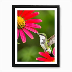 Female Ruby Throated Hummingbird -Reimagined 4 Art Print