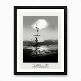 Tranquility Abstract Black And White 7 Poster Art Print