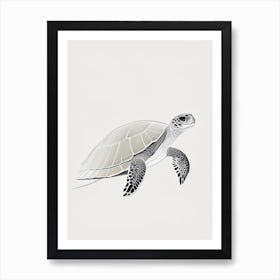 Hawksbill Sea Turtle (Eretmochelys Imbricata), Sea Turtle Minimal Line Drawing 1 Art Print