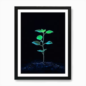 Young Plant In The Dark 11 Art Print