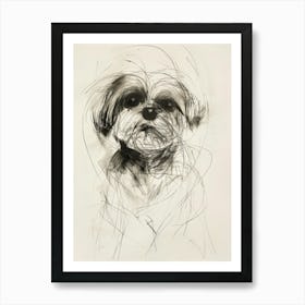 Maltese Dog Charcoal Line 3 Art Print