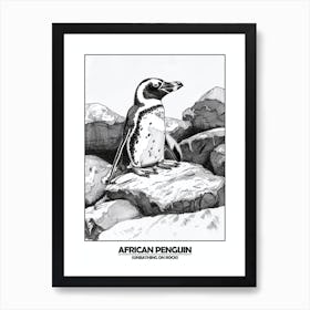 Penguin Sunbathing On Rocks Poster Art Print