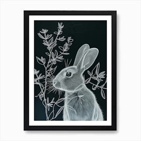 Blanc De Hotot Rabbit Minimalist Illustration 2 Art Print