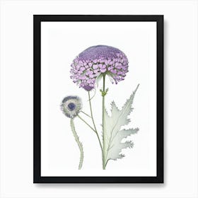 Scabiosa Floral Quentin Blake Inspired Illustration 2 Flower Art Print