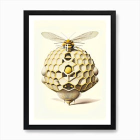 Drones Beehive Vintage Art Print