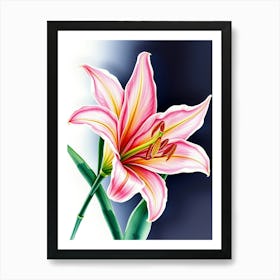 Pink Lily 4 Art Print