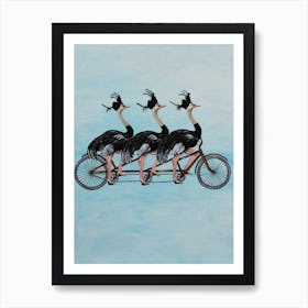 Ostriches On Bicycle Art Print