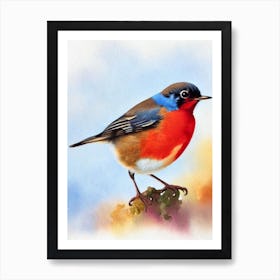 European Robin Watercolour Bird Art Print