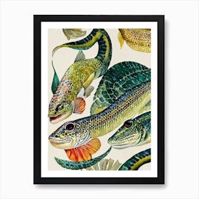 Lizardfish Vintage Graphic Watercolour Art Print