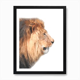 Lion Profile Watercolor Art Print