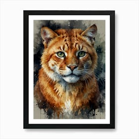 Lynx1 Art Print