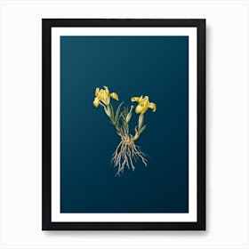 Vintage Sand Iris Botanical Art on Teal Blue Art Print