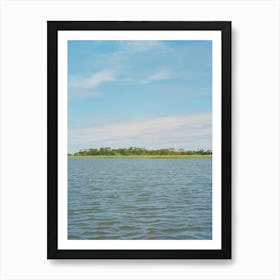 South Carolina Summer on Film Art Print