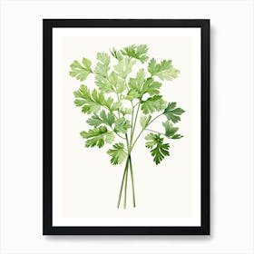 Cilantro Vintage Botanical Herbs 1 Art Print