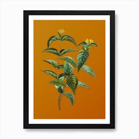 Vintage Northern Bush Honeysuckle Flowers Botanical on Sunset Orange n.0887 Art Print