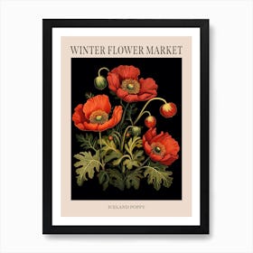 Iceland Poppy 3 Winter Flower Market Poster Art Print