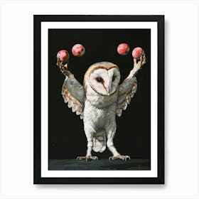 Barn Owl 4 Art Print