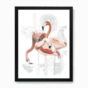 Flamingos 6 Art Print