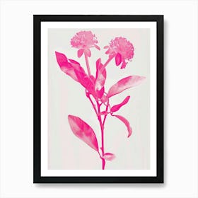 Hot Pink Bergamot Art Print