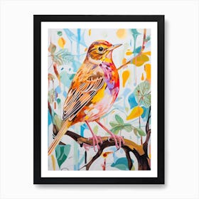 Colourful Bird Painting Hermit Thrush 3 Art Print