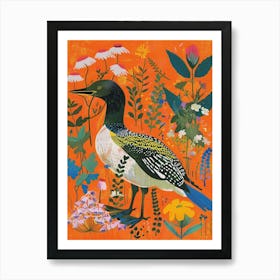 Spring Birds Loon 4 Art Print