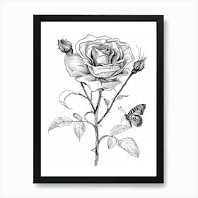 Butterfly Rose Line Drawing 4 Art Print