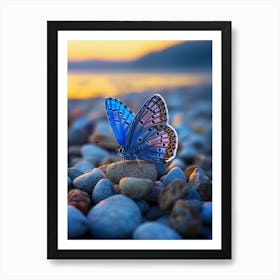 Blue Butterfly On Rocks Art Print