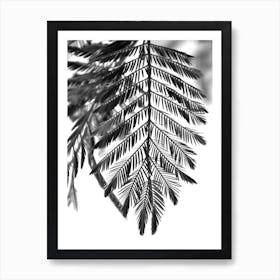 Delicate And Beautiful Plants Art Print