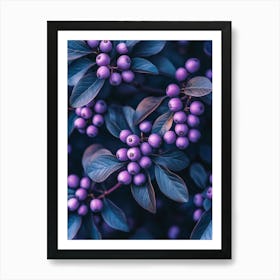 Lila Blaubeeren Fotografie, botanische violett Obst Design Art Print