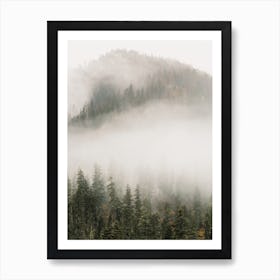 Foggy Forest Mountain Art Print
