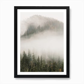 Foggy Forest Mountain Affiche