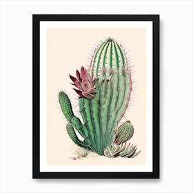 Chamaecereus Silvestrii Retro Drawing Art Print