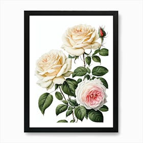 Vintage Galleria Style Rose Art Painting 15 Art Print