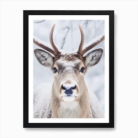 Deer In The Snow 1 Art Print