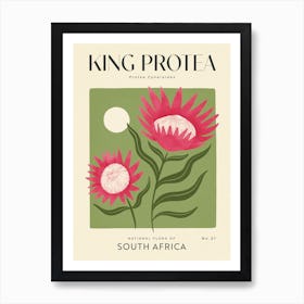 Vintage Green And Pink King Protea Flower Of South Africa 1 Art Print