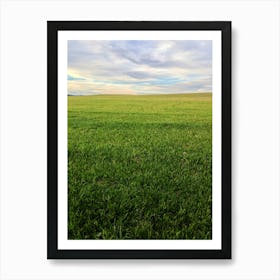 Field Of Grass Art Print