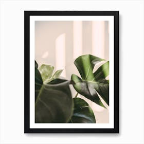 Monstera Cheese Plant Art Print