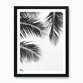 Black And White Palm Leaves 3 Art Print