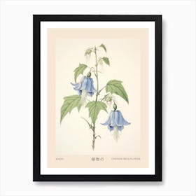 Kikyo Chinese Bellflower 2 Vintage Japanese Botanical Poster Art Print