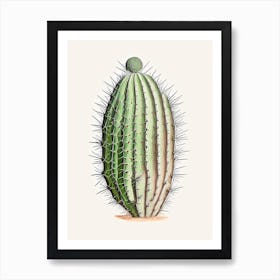 Turk S Head Cactus Marker Art 2 Art Print