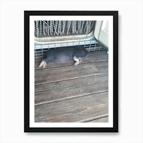 Pig Sleeping 2 Art Print