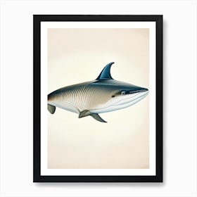 Cookiecutter Shark 3 Vintage Art Print